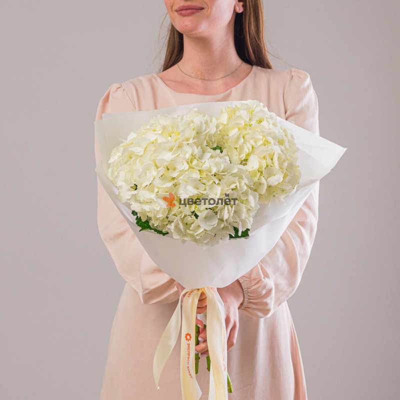 Букет из 5 белых гортензий