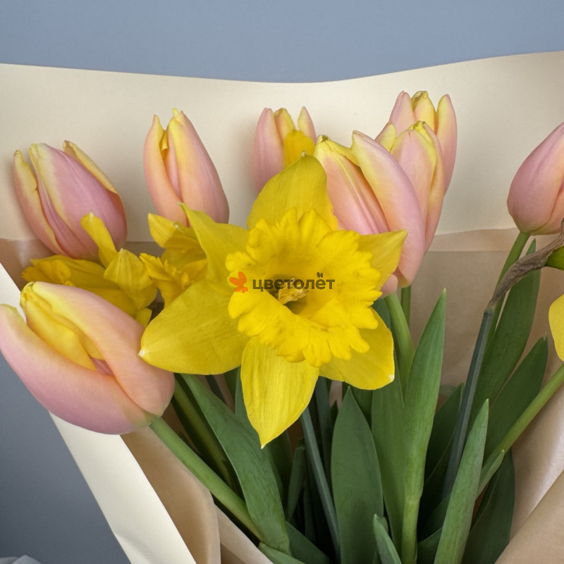 Легкое дыхание весны