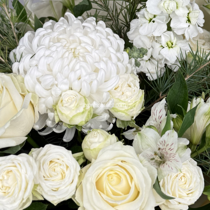 Белое сияние