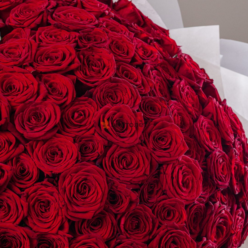 101 роза Ред Наоми