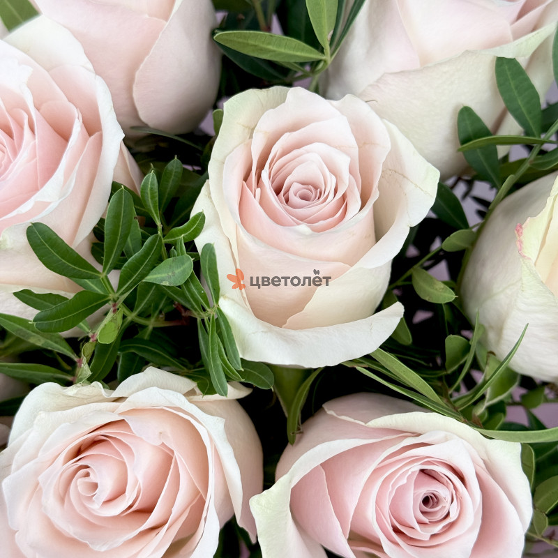 Букет из 9 розовых роз с зеленью